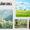 Avatar Cảnh Đẹp Thiên Nhiên: Tuyển Tập Thư Giãn Cho Mọi Nền Tảng