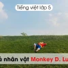 Monkey D. Luffy: Hành Trình Trở Thành Vua Hải Tặc Truyền Cảm Hứng