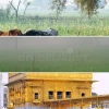 Comprehensive Guide to Weather in Punjab Current Conditions and Forecasts