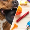 Best chew toys for aggressive chewers large breeds in 2026