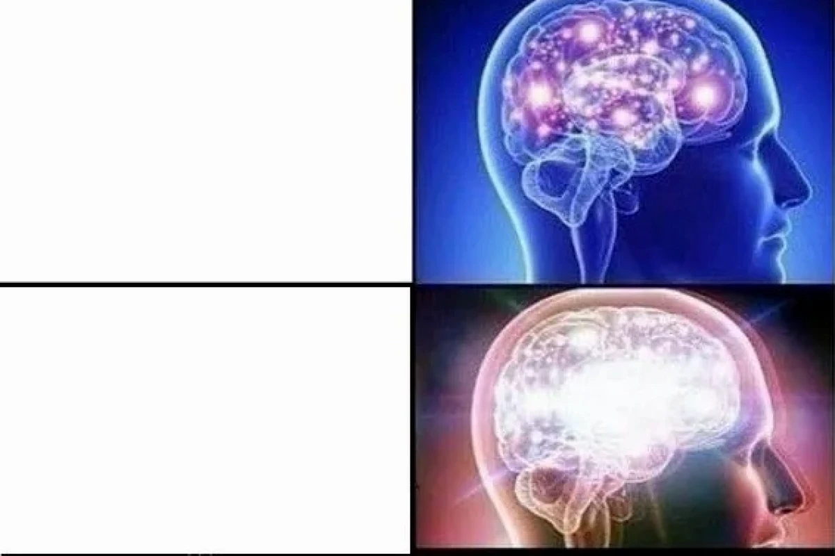 Brain Meme: Biểu tượng của sự sáng tạo hài hước và tư duy tiến hóa