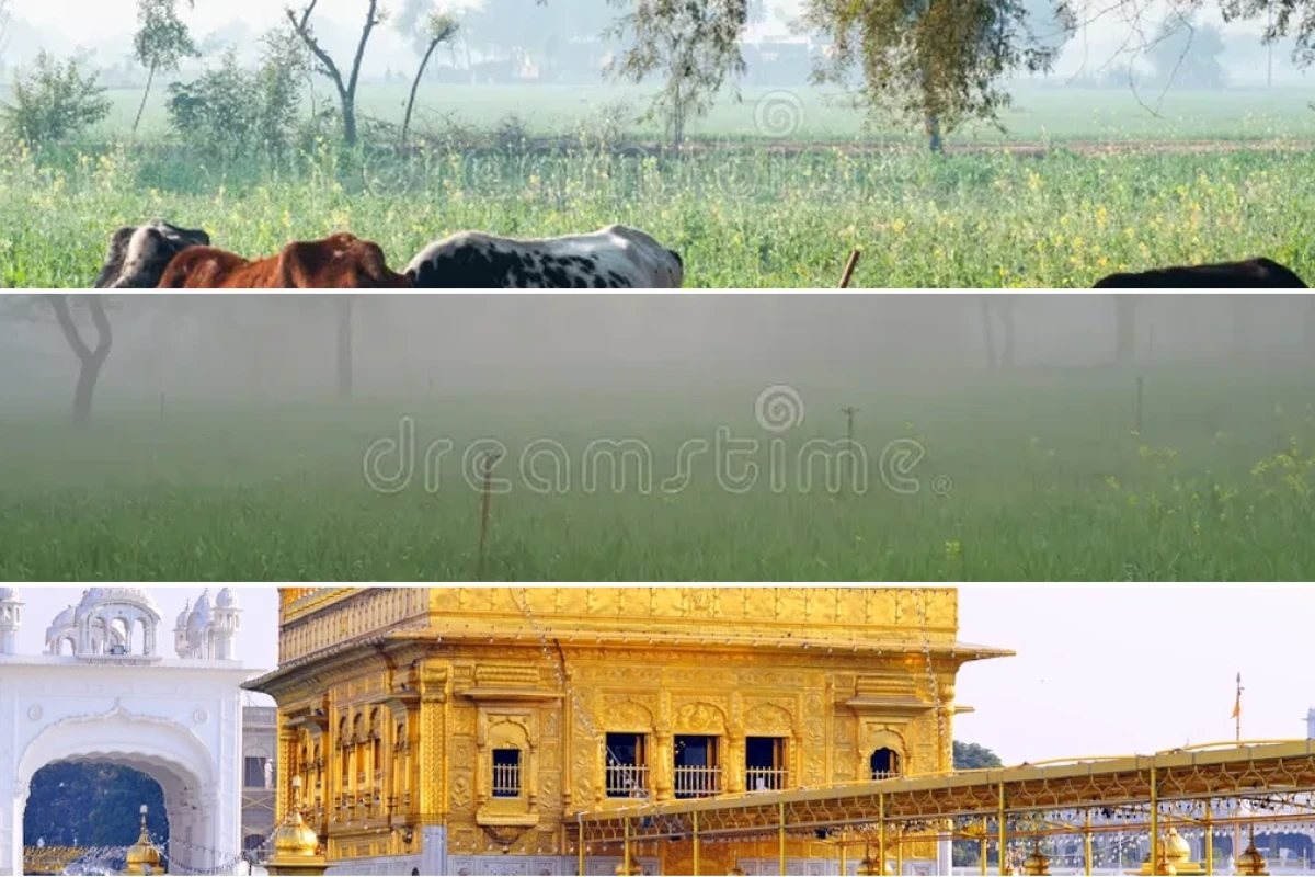 Comprehensive Guide to Weather in Punjab Current Conditions and Forecasts