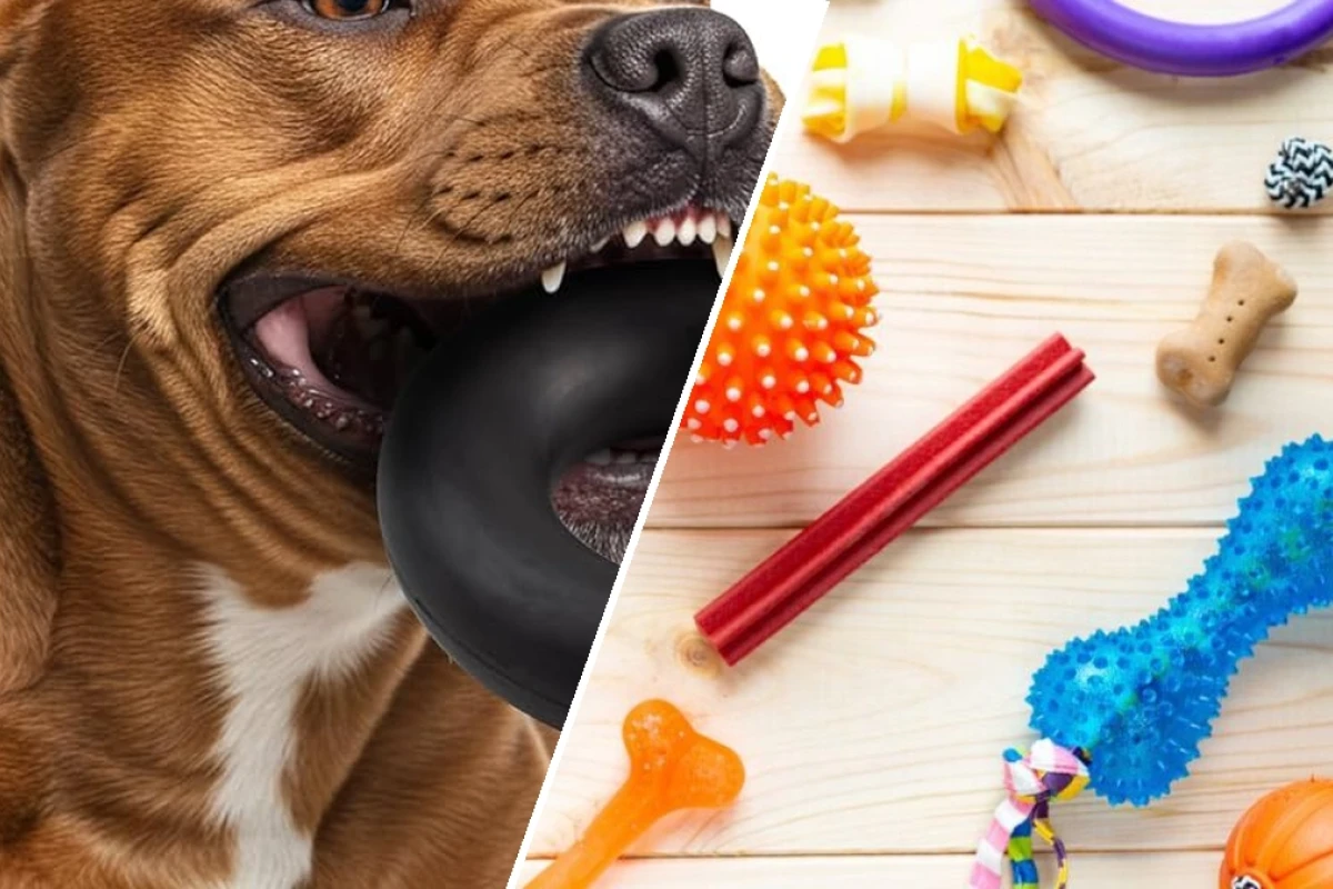 Best chew toys for aggressive chewers large breeds in 2026