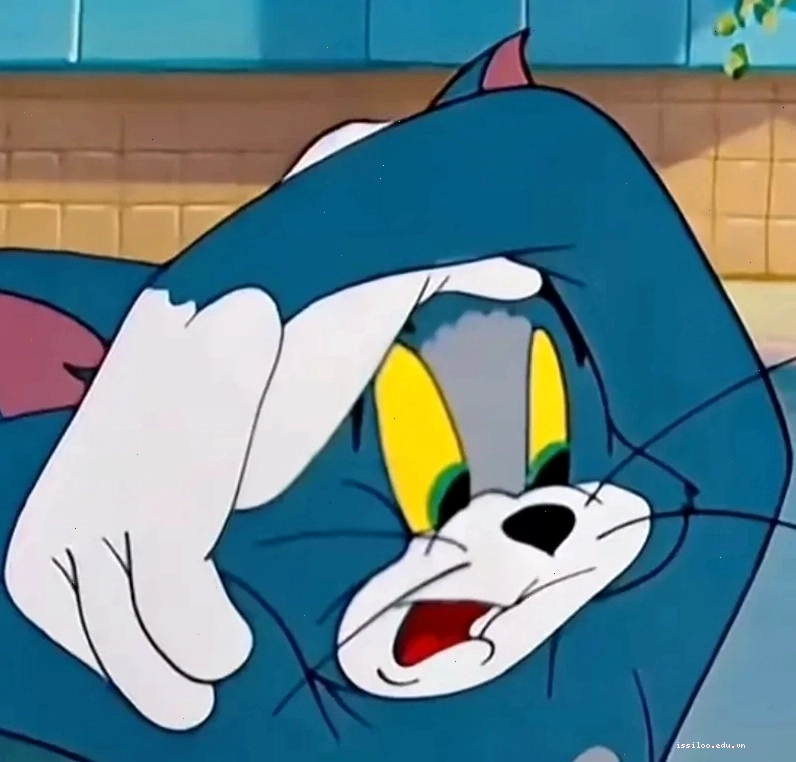 Ảnh meme hoang mang hài hước