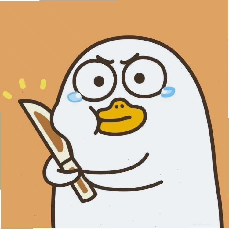 Ảnh meme vịt cực cute với biểu cảm ngộ nghĩnh