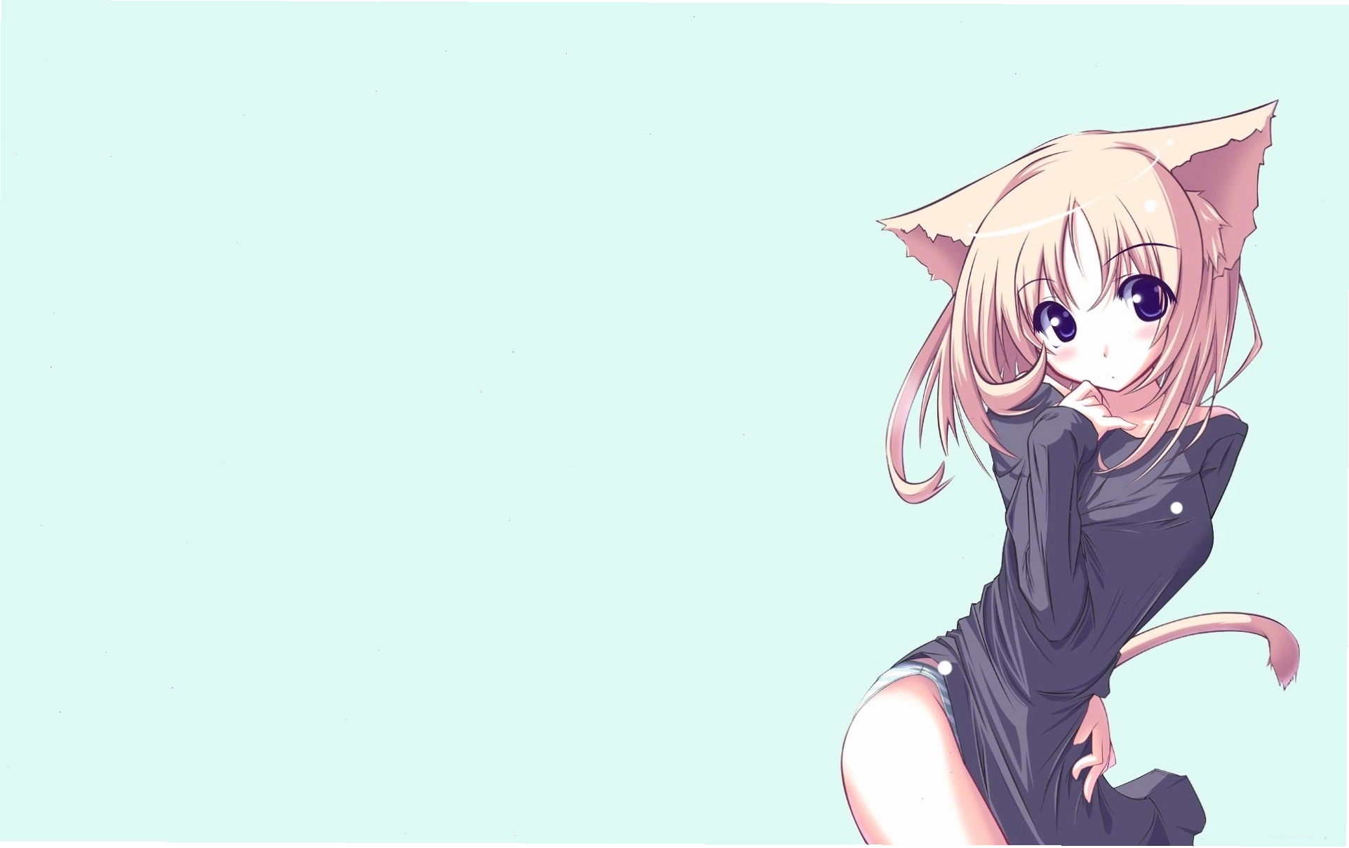 Anime Cat Girl Wallpaper thể hiện cá tính