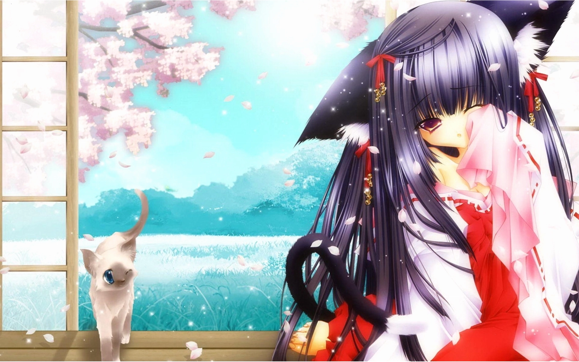 Anime Cat Girl Wallpaper với biểu cảm ngạc nhiên
