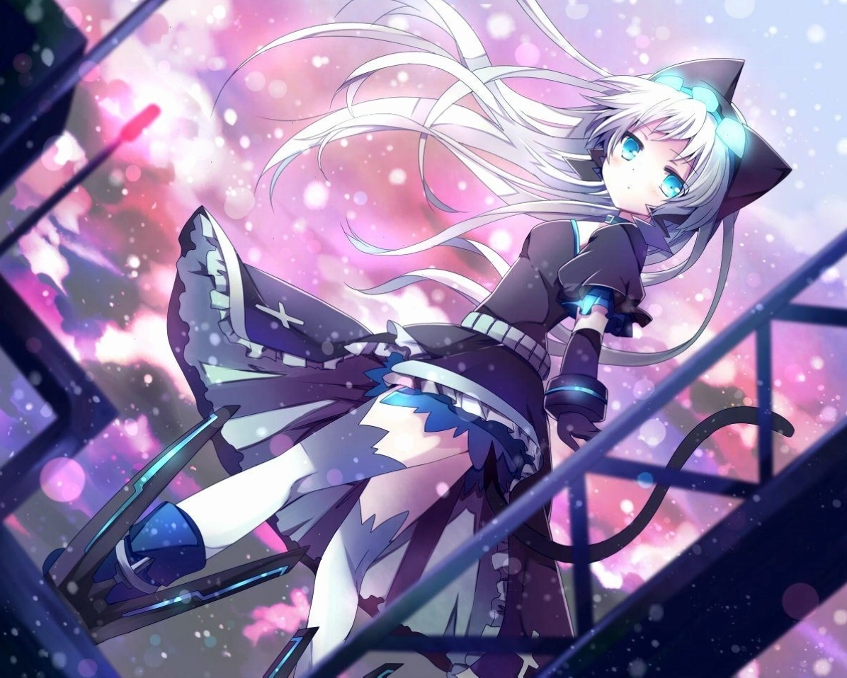 Anime Neko Girl Wallpaper với trang phục độc đáo