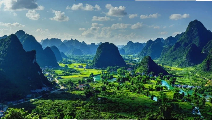 Avatar cảnh đẹp thiên nhiên với khu rừng xanh mướt và ánh nắng xuyên qua kẽ lá