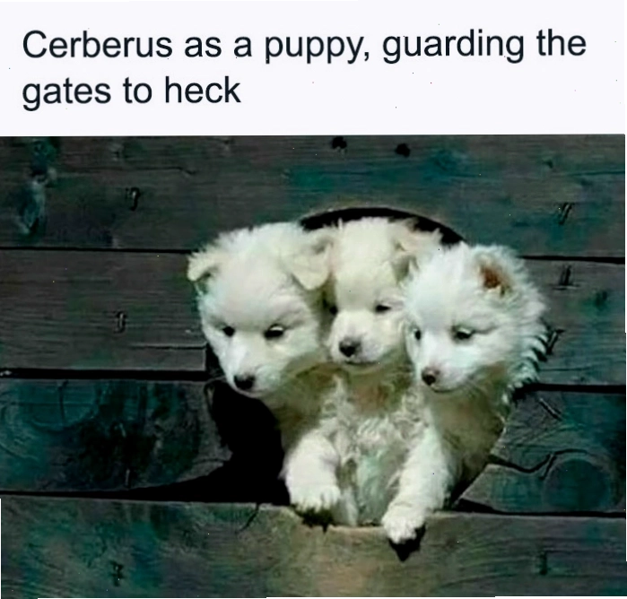 Ba chú cún con đáng yêu được ví von hài hước như Cerberus trong thần thoại, tương tự meme Harry Potter