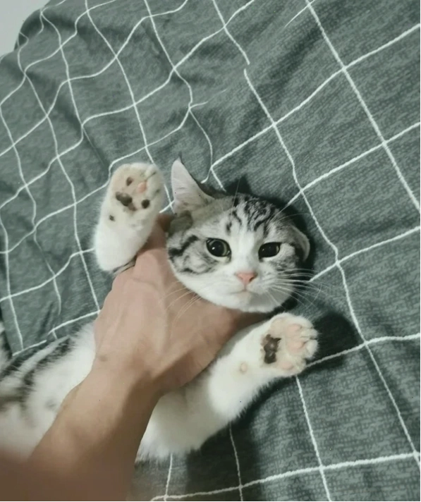 Biểu cảm meme hài hước