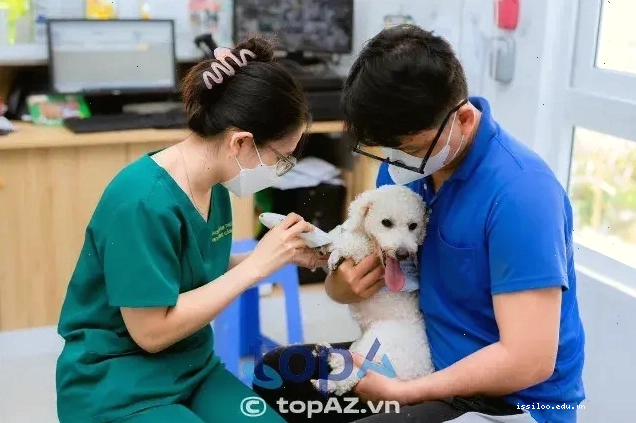 Cơ sở chăm sóc sức khỏe thú cưng uy tín năm 2026