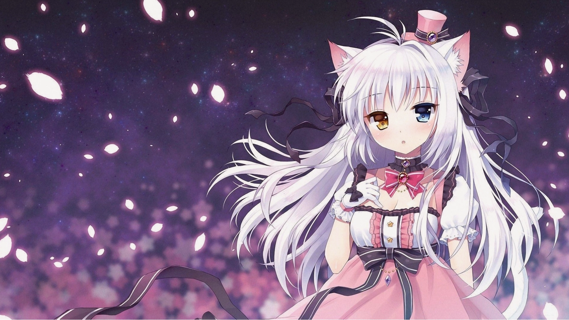 Cute Anime Neko Girls Wallpaper với nhiều nhân vật