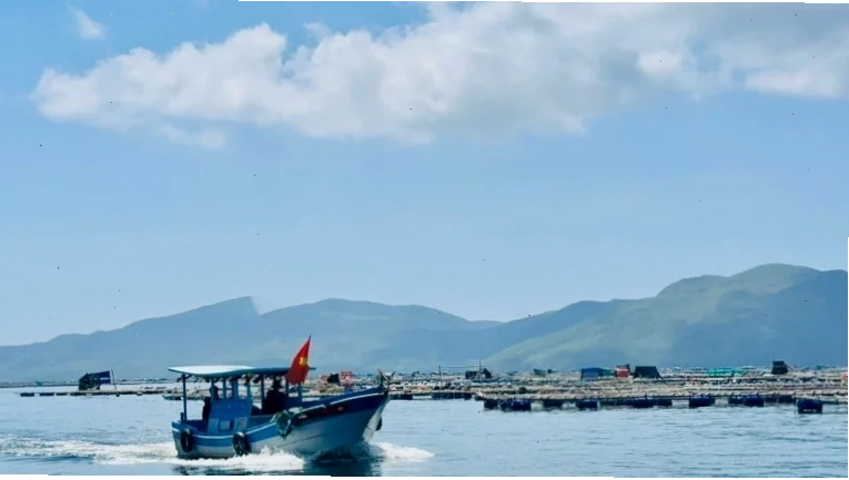 Đầm nước lợ với đặc sản quý hiếm tại Phú Yên sau sáp nhập