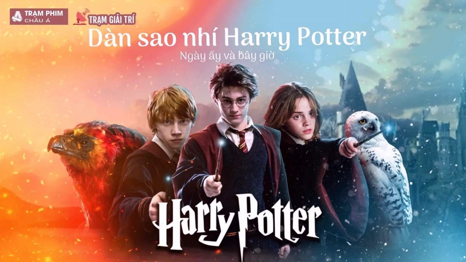 Dàn sao Harry Potter ngày ấy và bây giờ