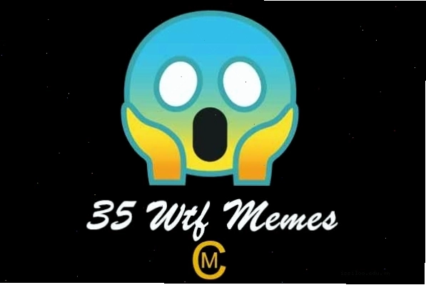 Hình ảnh tổng hợp các meme WTF hài hước