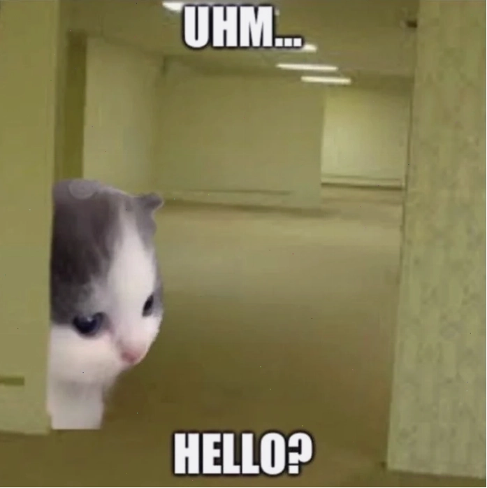 Hình meme hello mèo cute đáng yêu