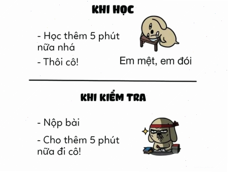Meme "5 phút khi học và khi kiểm tra" quen thuộc với học sinh sinh viên