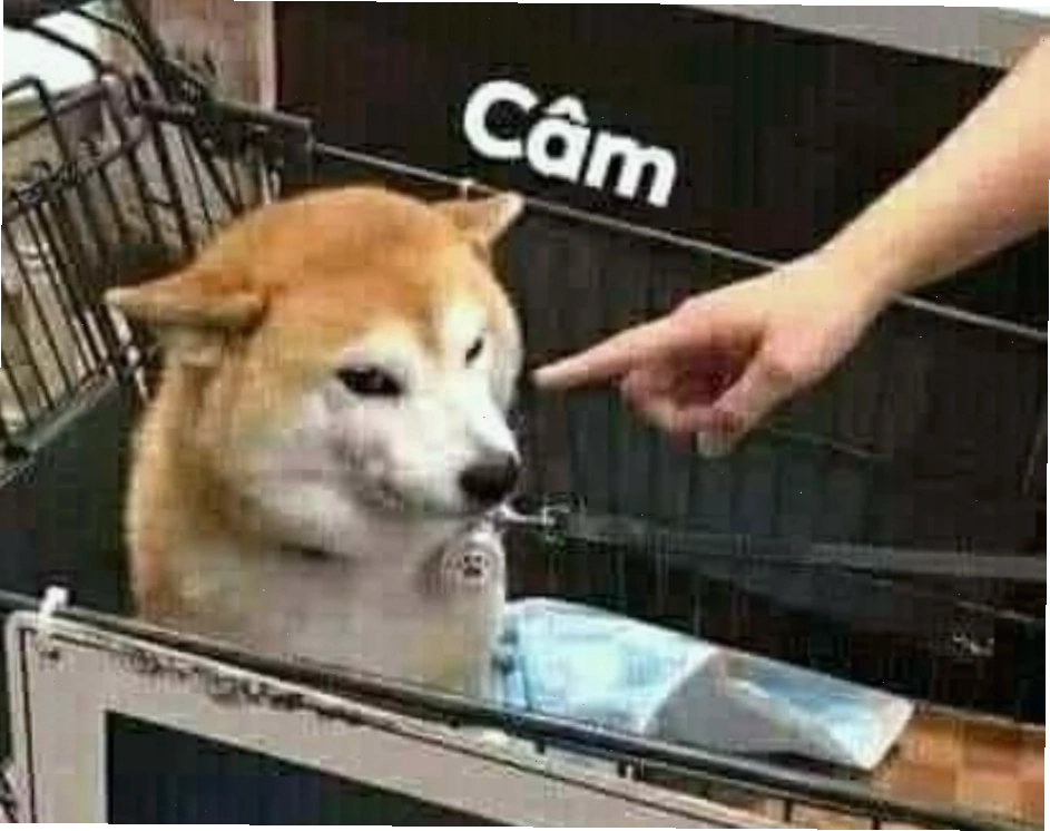 Meme câm mồm với hình ảnh hài hước