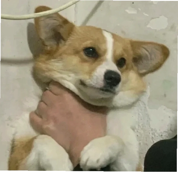 Meme chế người nổi tiếng với biểu cảm bóp cổ