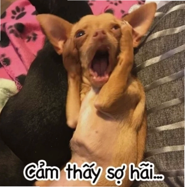 Meme con chó ôm đầu thể hiện sự bối rối hoặc suy tư