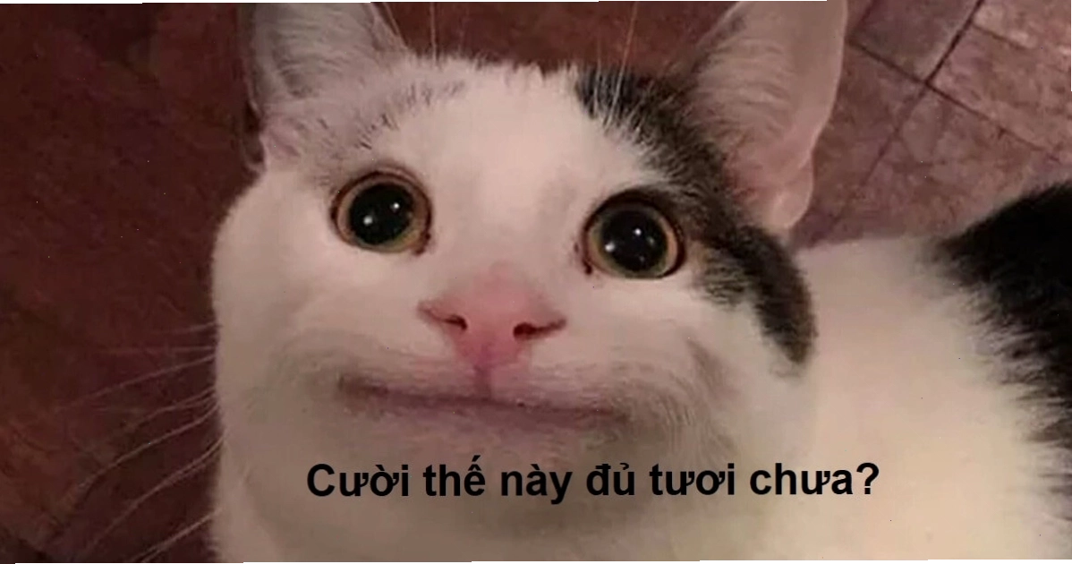 Meme cười gượng gạo, có chút gì đó không ổn