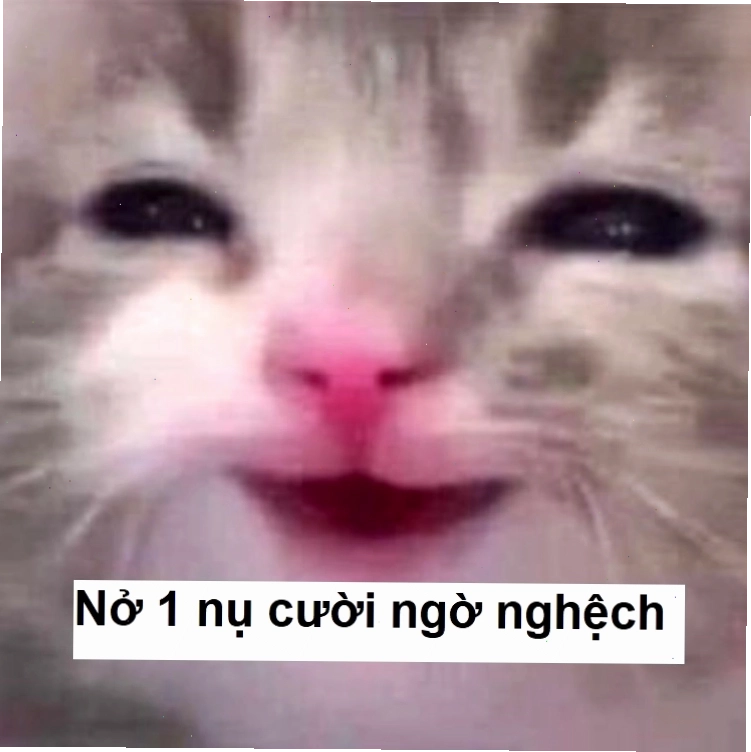 Meme cười vô tri, không hiểu chuyện gì đang xảy ra