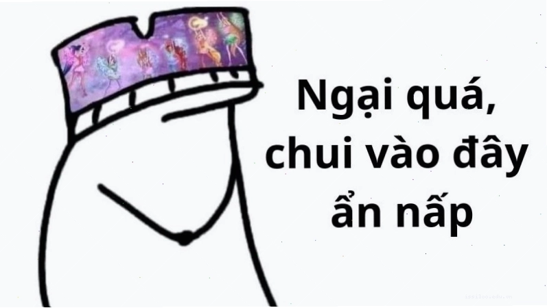 Meme đội quần hài hước và lầy lội