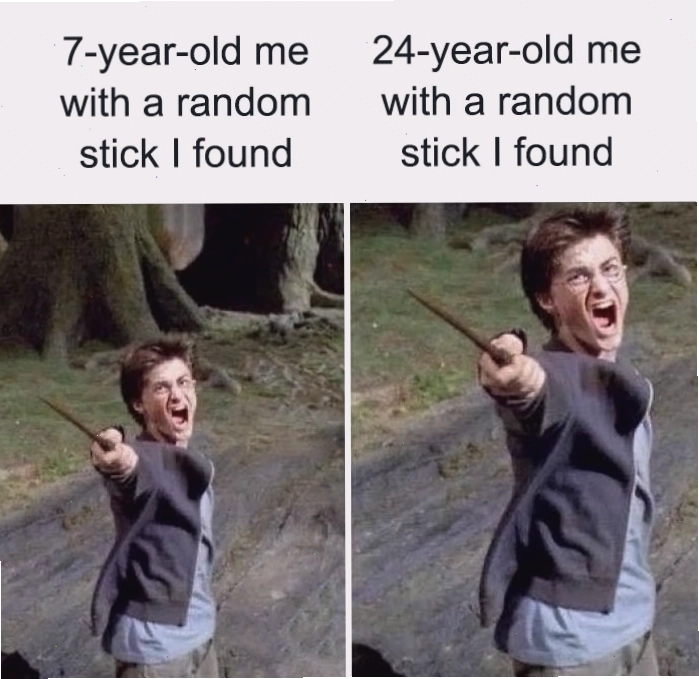Meme Harry Potter so sánh niềm vui khi tìm thấy một cành cây lúc nhỏ và khi trưởng thành