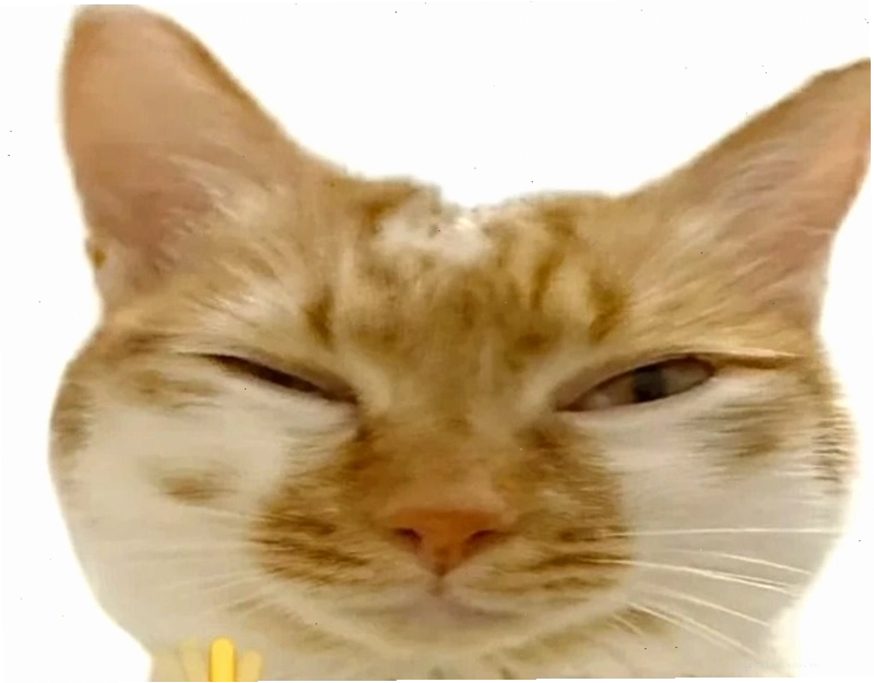Meme không quan tâm