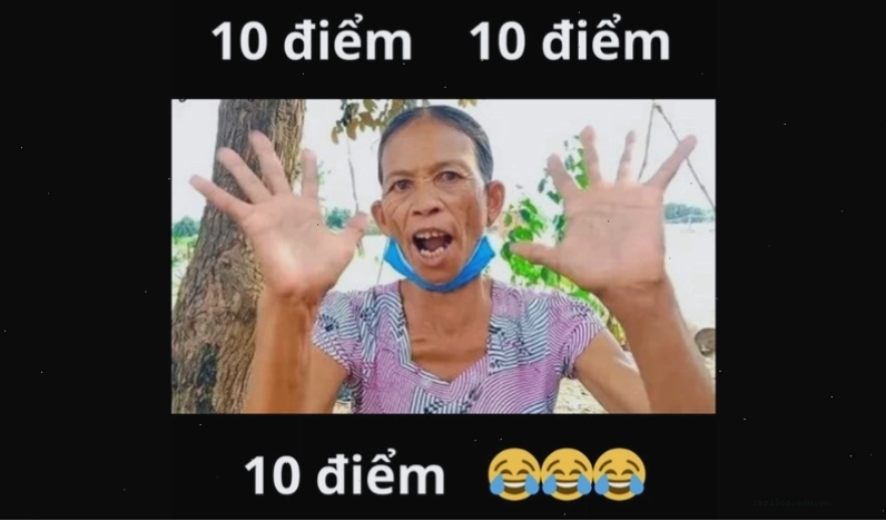 Meme là hình ảnh được lan truyền rộng rãi trên mạng xã hội