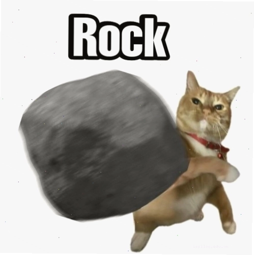 Meme mèo The Rock biểu cảm bất ngờ