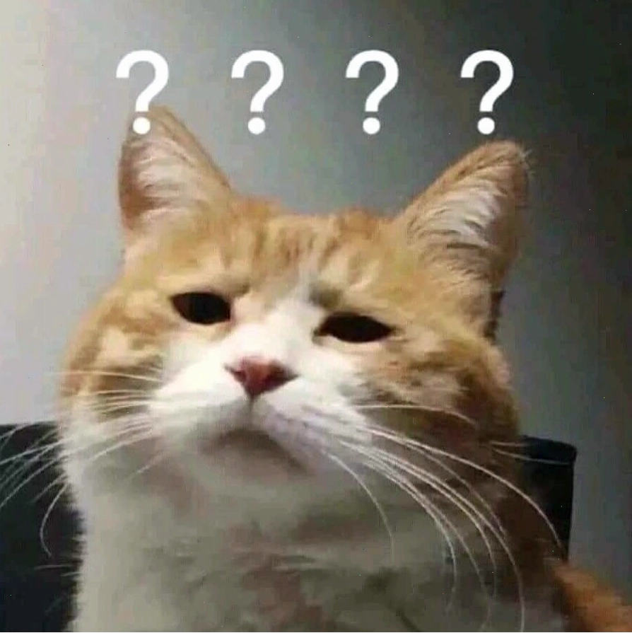 Meme mèo với ánh mắt 'thách thức'