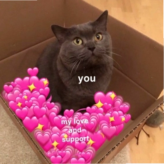 Meme mèo với biểu cảm 'hung dữ'