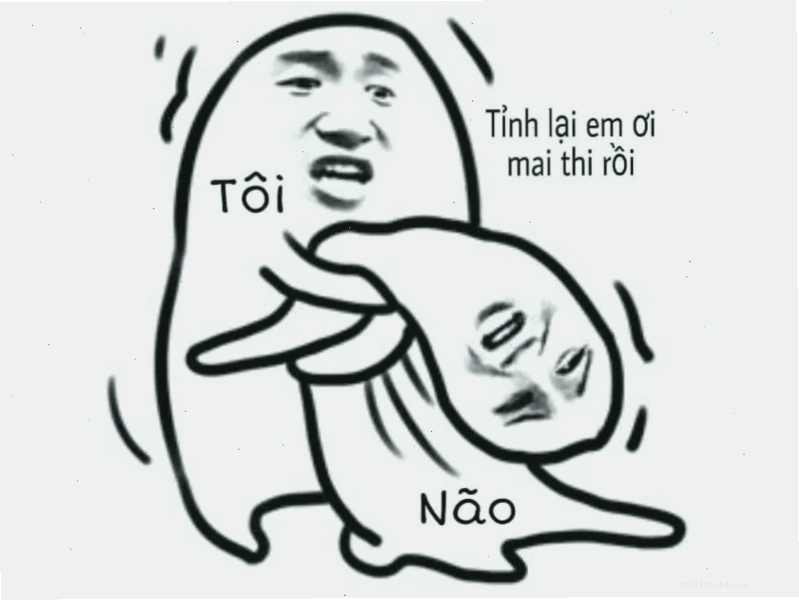 Meme "não tôi khi mai thi" thể hiện sự hoảng loạn và thiếu kiến thức