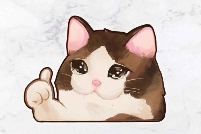 Meme ok mèo dễ thương với biểu cảm ngộ nghĩnh