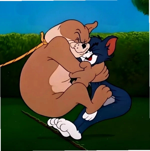 Meme ôm mèo tom hoạt hình ngộ nghĩnh