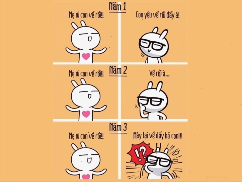Meme "thái độ phụ huynh" sau 3 năm đại học của con cái