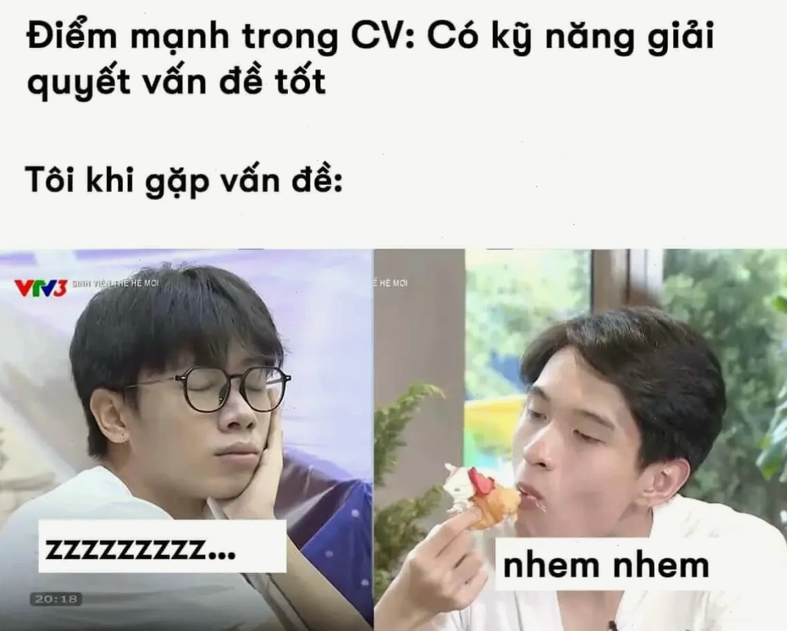 Meme về kỹ năng giải quyết vấn đề: Điểm mạnh trong CV và thực tế