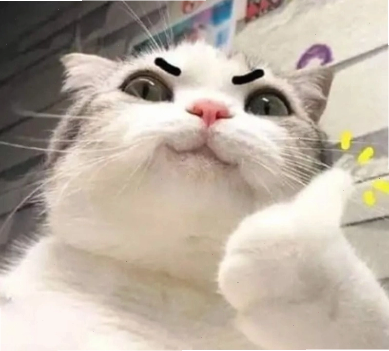 Mèo với dáng vẻ ngạc nhiên