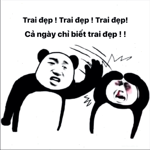 Một hình ảnh meme hài hước thể hiện sự vô nghĩa