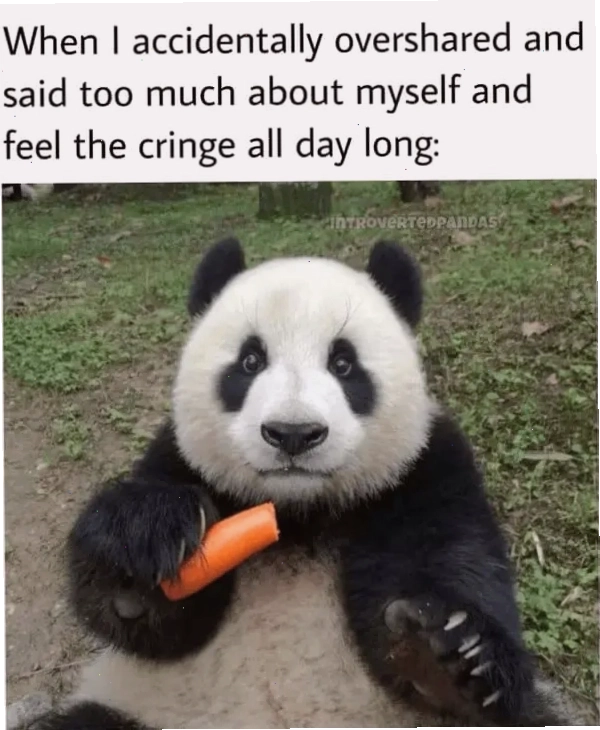 Panda meme thể hiện sự bối rối khi lỡ lời chia sẻ quá nhiều