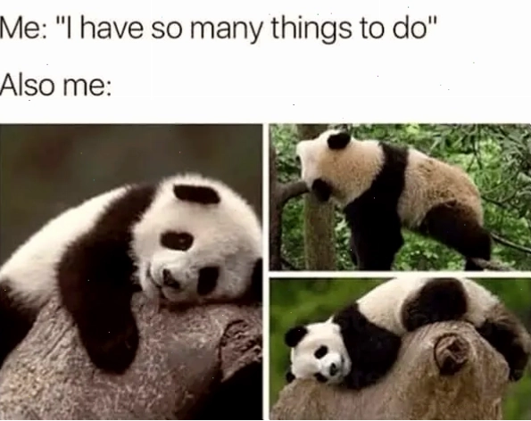 Panda meme thể hiện sự quá tải công việc
