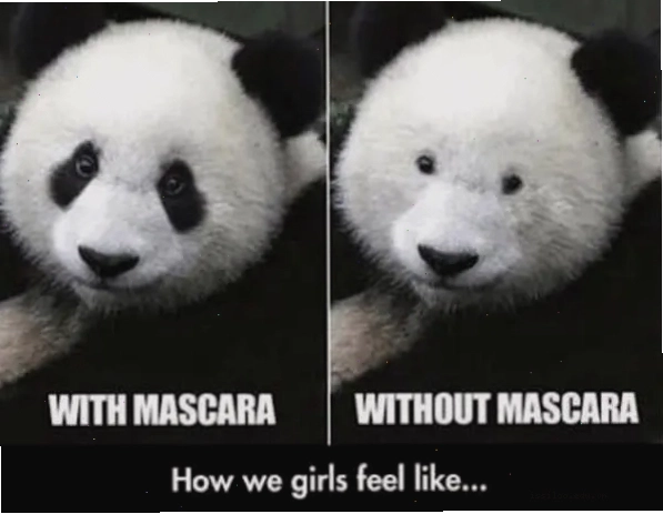Panda meme về sự khác biệt trước và sau khi trang điểm