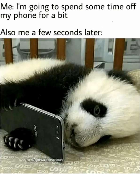 Panda meme về việc cố gắng hạn chế sử dụng điện thoại
