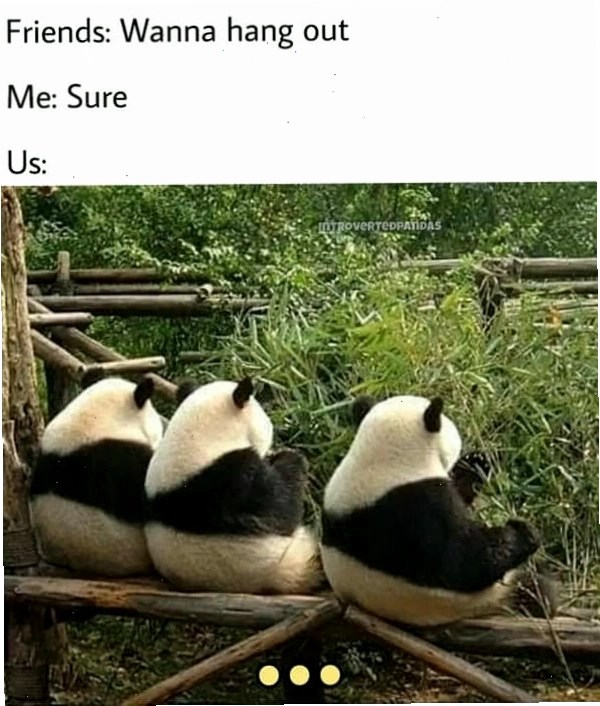 Panda meme về việc tụ tập bạn bè