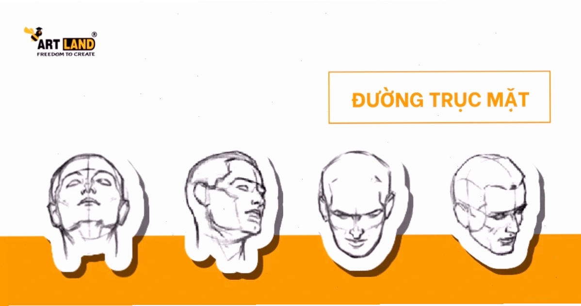 Phác thảo cấu trúc khuôn mặt cô gái