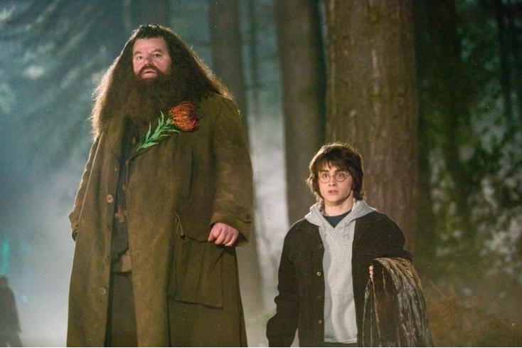 Rubeus Hagrid, người gác rừng tại Hogwarts