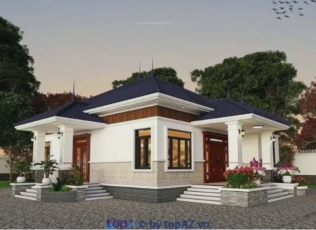 Thiết kế lồng nuôi chuột cảnh hiện đại và thông thoáng