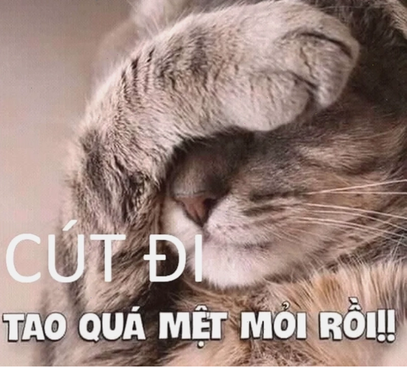 Tìm hiểu sức hút của meme cút